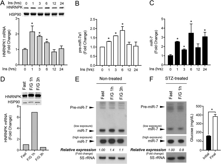 FIG 6