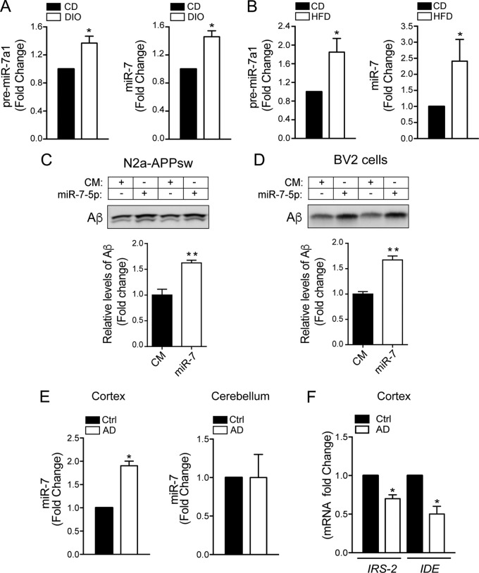 FIG 10