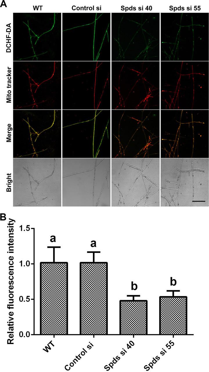 FIG 3