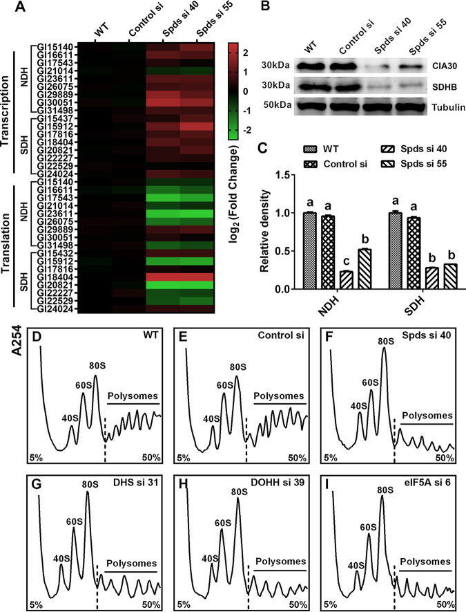 FIG 6