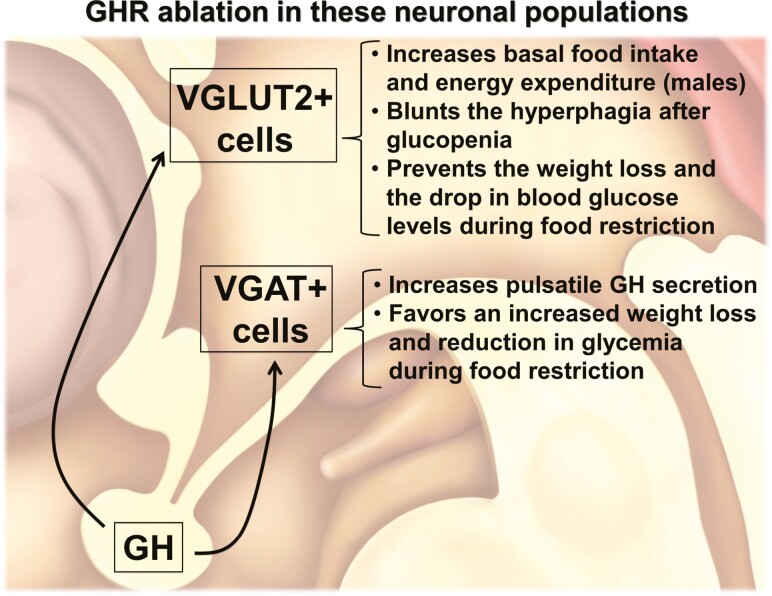 Figure 11.