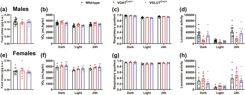 Figure 10.