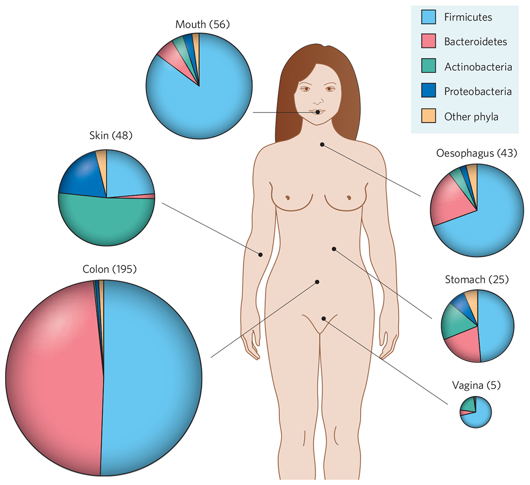 Figure 1 |