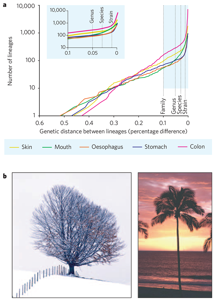 Figure 2 |