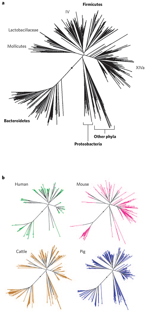 Figure 3 |