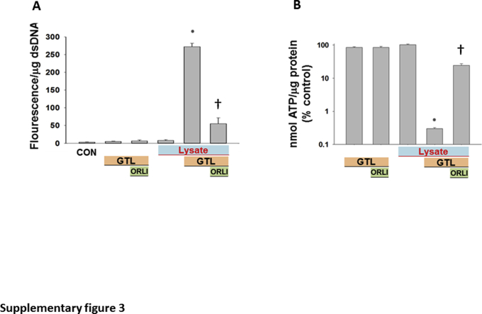 Supplemental Figure S3