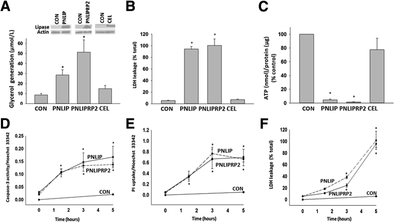 Figure 4