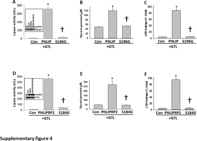 Supplemental Figure S4