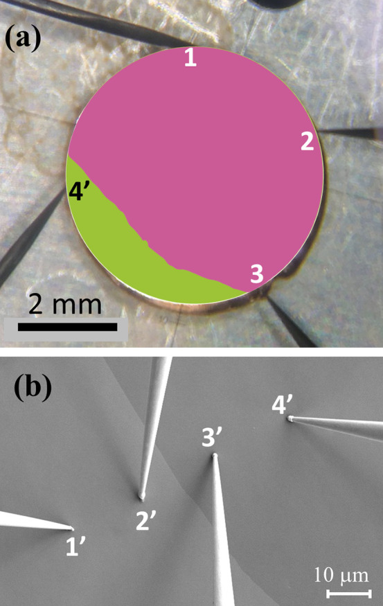 Figure 9