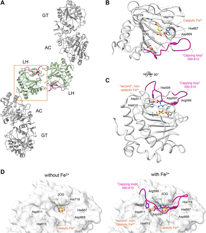 FIGURE 2