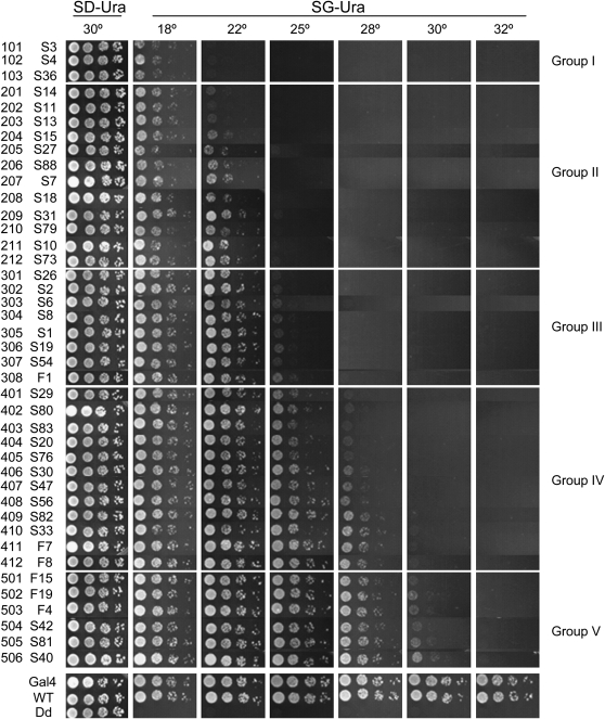 Figure 3.—