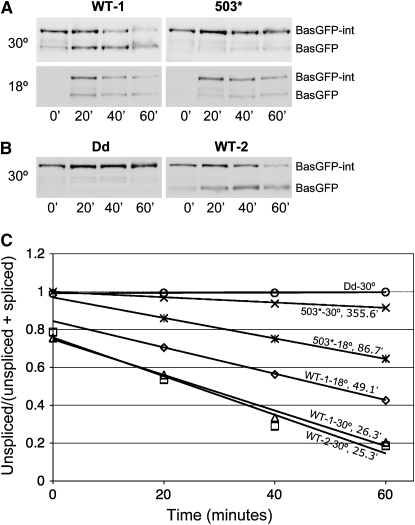 Figure 7.—