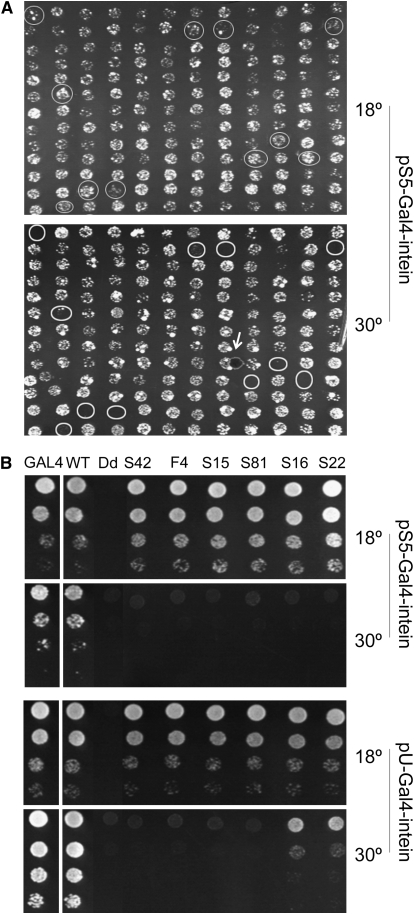 Figure 2.—