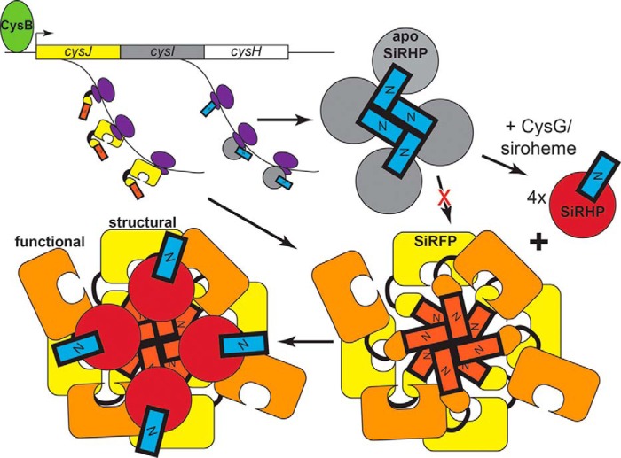 FIGURE 10.