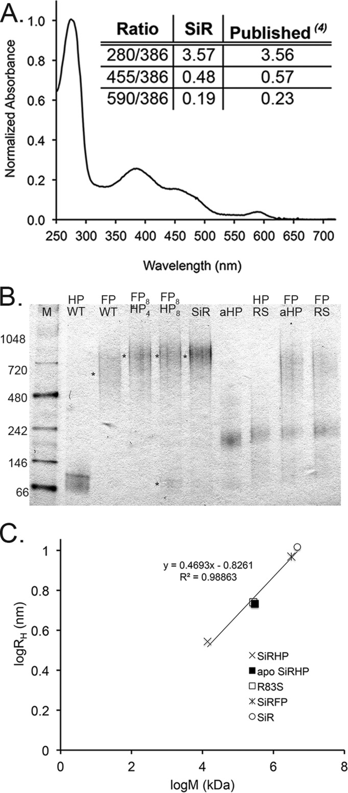 FIGURE 1.