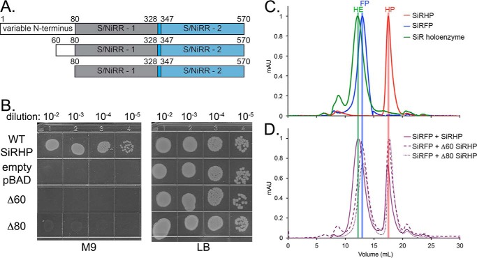 FIGURE 6.