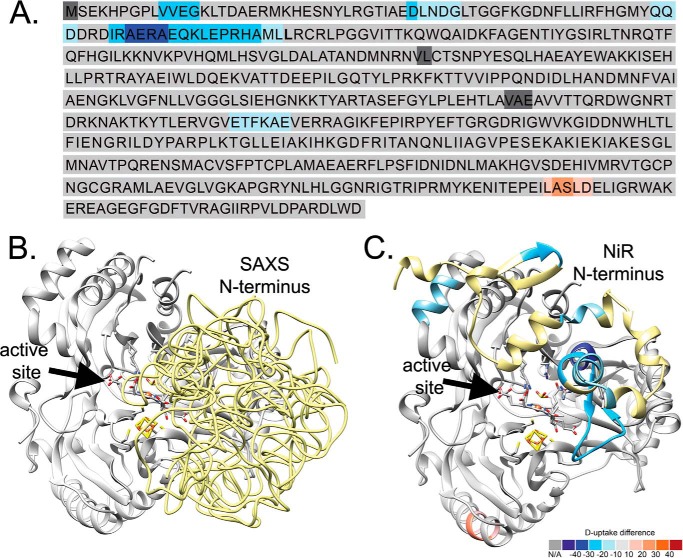 FIGURE 4.