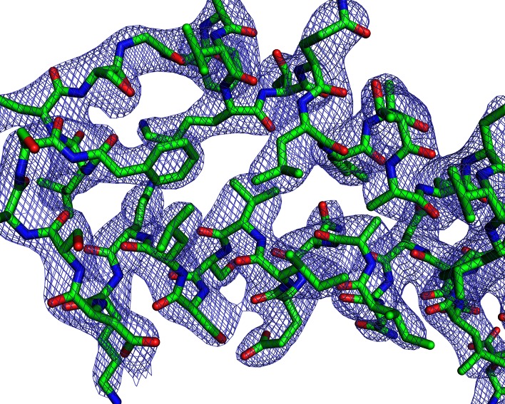 Figure 1—figure supplement 2.