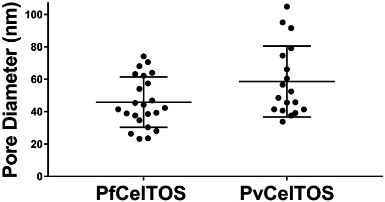 Figure 5—figure supplement 2.