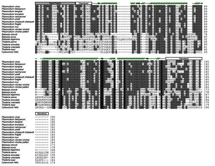 Figure 1—figure supplement 1.