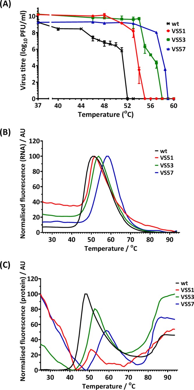 FIG 3