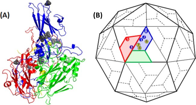 FIG 6