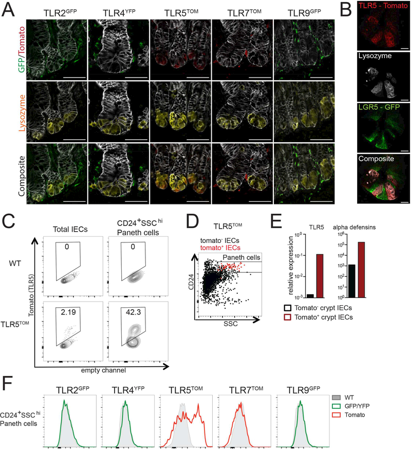 Figure 2: