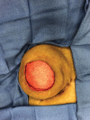 Fig. 3.