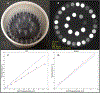 Figure 4: