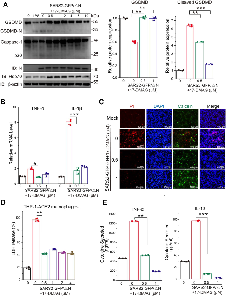 Figure 6