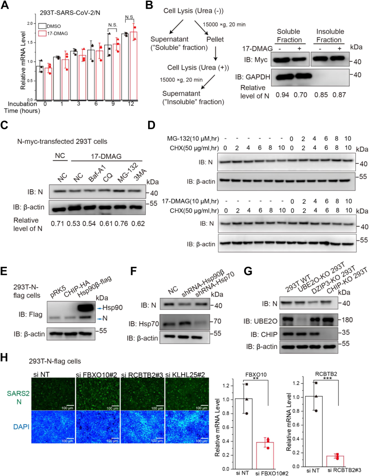 Figure 4