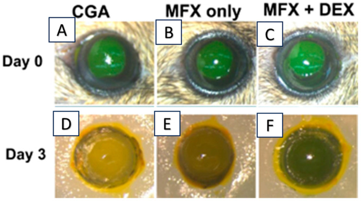 Figure 6