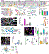 Extended Data Fig. 4 |