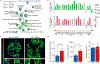 Extended Data Fig. 7 |