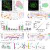 Extended Data Fig. 5 |