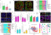 Fig. 2 |