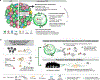 Extended Data Fig. 10 |