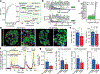 Fig. 4 |