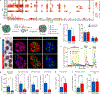 Extended Data Fig. 8 |