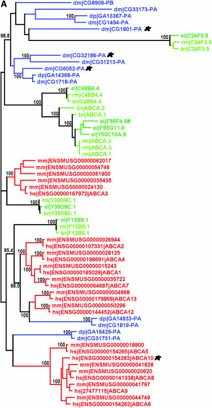 Figure 1.—