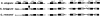 F<sc>igure</sc> 2.—