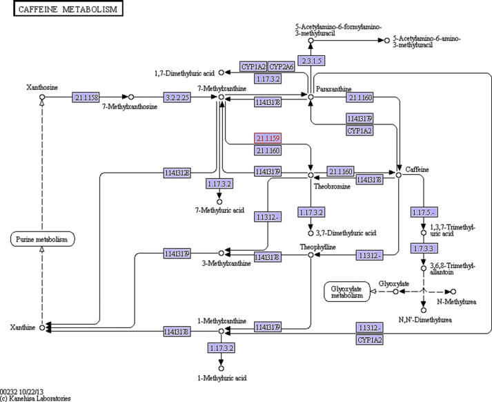 Fig. 10