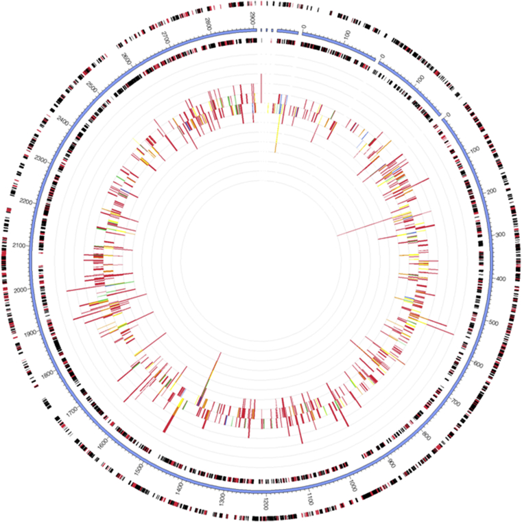 Fig. 18