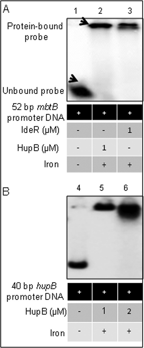 FIG 7