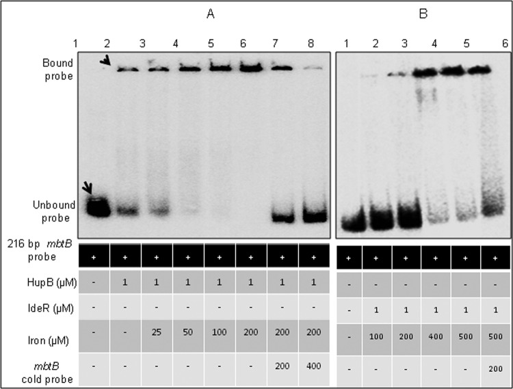 FIG 5