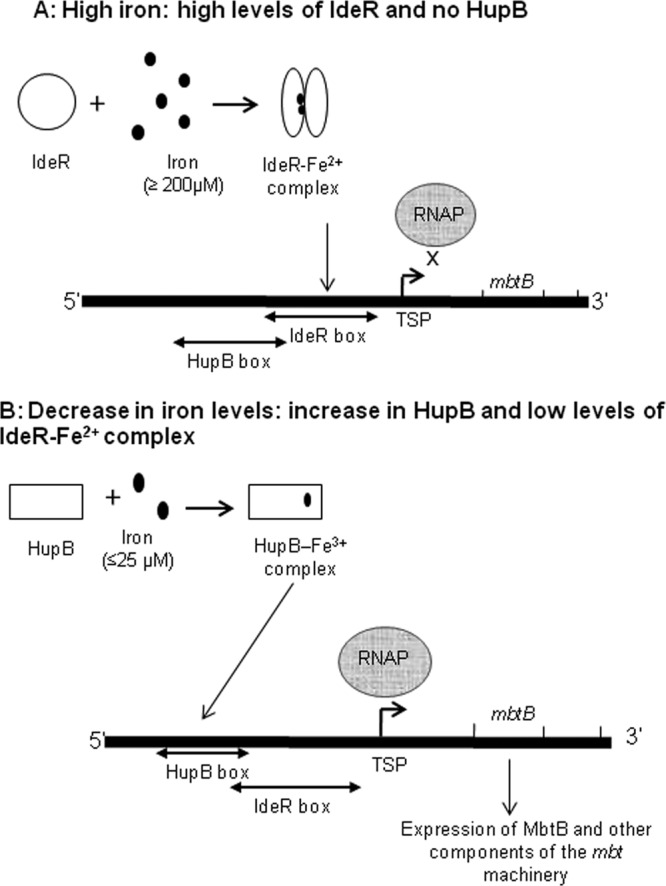 FIG 10