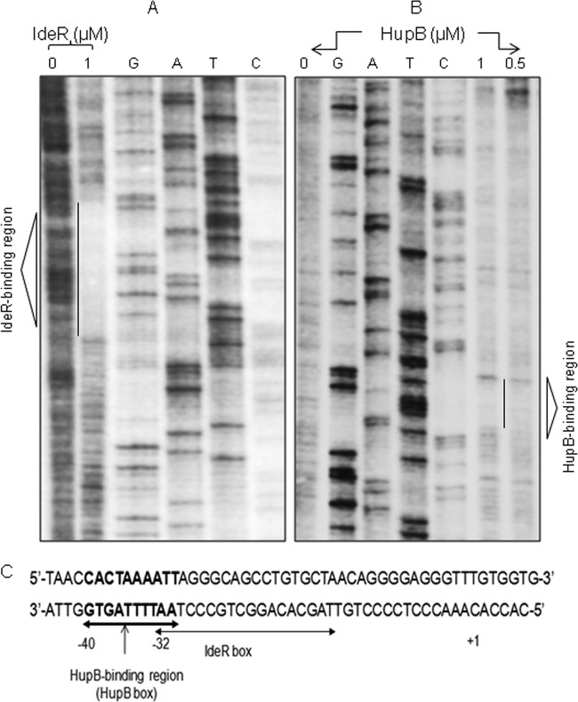 FIG 6