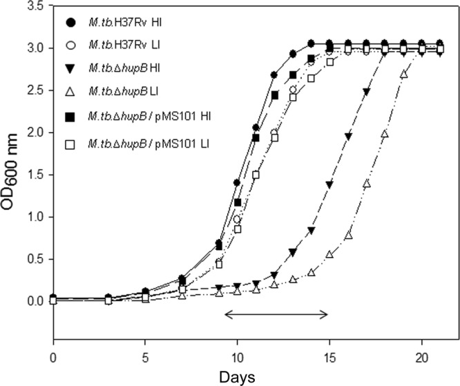 FIG 2