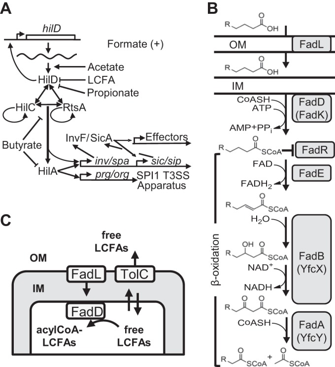 FIG 1 