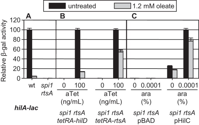 FIG 6 